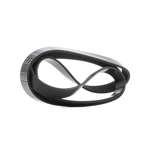 Osta Moniurahihna RIDEX:llä 305P0454 edullisesti hintaan 16,14 €