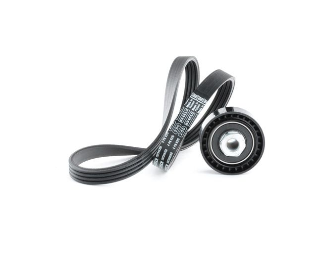 Achetez des Jeu de courroies trapézoïdales à nervures RIDEX 542R0497 à prix pour 42,28 €
