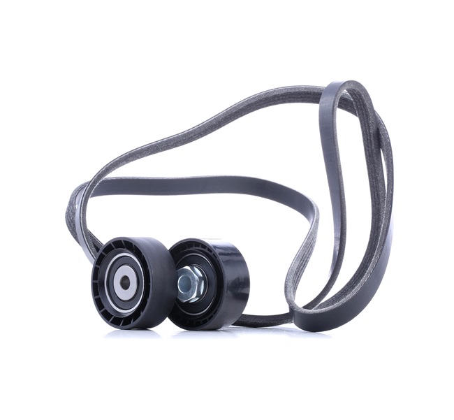 Keilrippenriemensatz 542R0501 RENAULT LOGAN von RIDEX