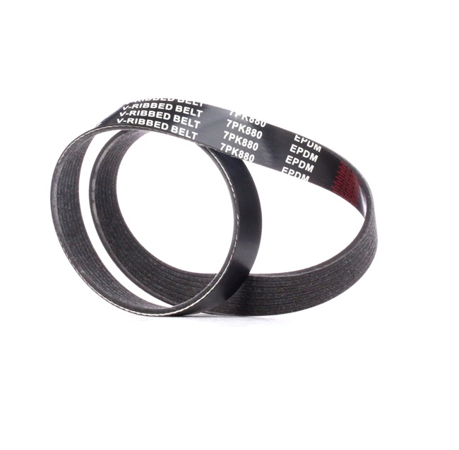 Achetez des Courroie Poly-V RIDEX 305P0456 à prix pour 8,36 €