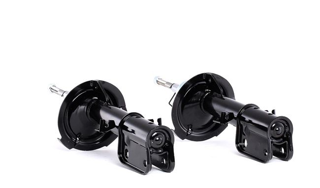 Compre Amortecedor da RIDEX 854S2361 a um preço baixo por 53,70 €