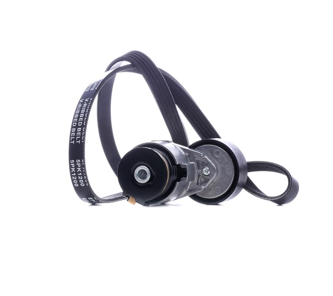 Keilrippenriemensatz von STARK für MEGANE II (BM0/1_, CM0/1_) günstig online kaufen