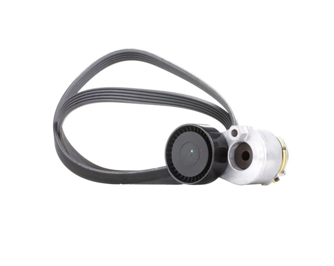 Keilrippenriemensatz von RIDEX für MEGANE II (BM0/1_, CM0/1_) günstig online kaufen