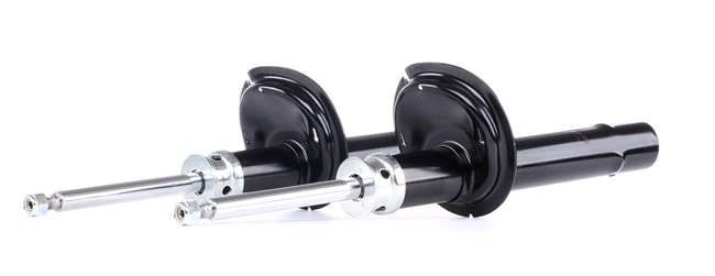 Online Shop für Stoßdämpfer von RIDEX EAN: 4059191922451