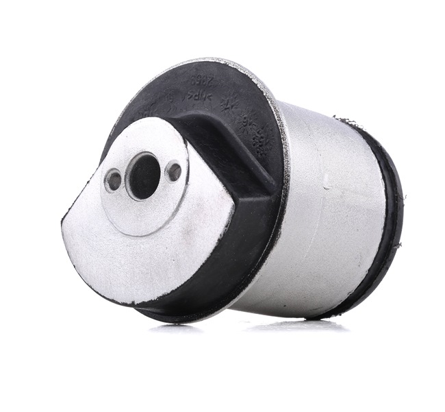 Compre Suspensão, corpo do eixo da RIDEX 1080M0024 a um preço baixo por 18,08 €