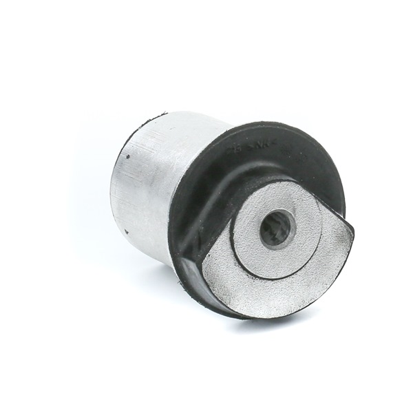 Compre Suspensão, corpo do eixo da RIDEX 1080M0050 a um preço baixo por 15,66 €