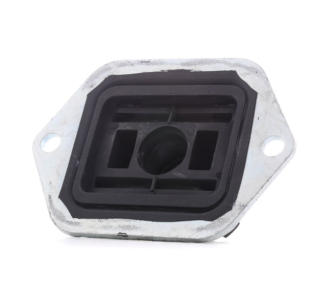 Compre Suspensão, corpo do eixo da RIDEX 1080M0054 a um preço baixo por 21,04 €