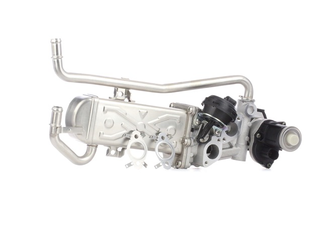 Acquista Modulo EGR da RIDEX 4198E0003 a buon mercato per soli 165,05 €