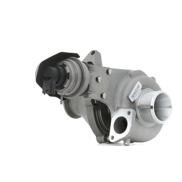 Original RIDEX Turbolader online kaufen