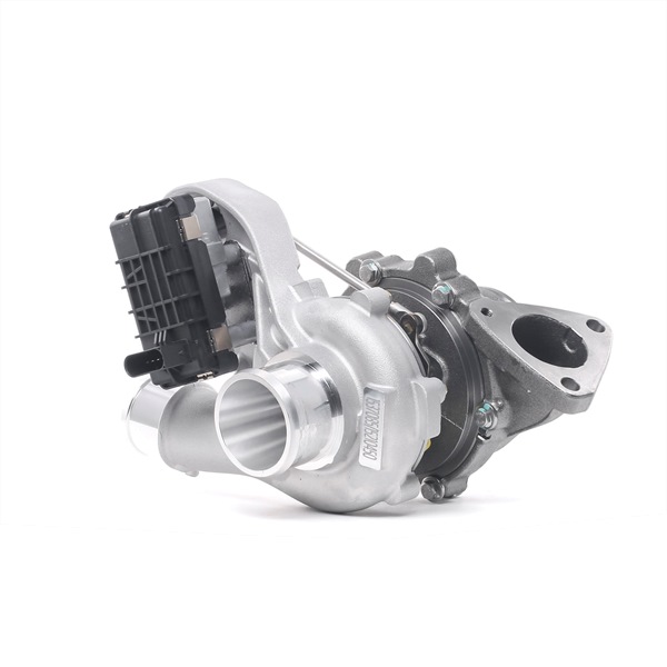 Original RIDEX Turbolader online kaufen