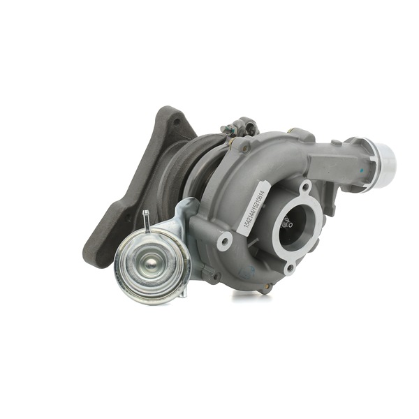 Original RIDEX Turbolader online kaufen