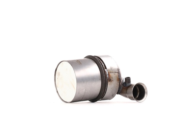 Osta Hiukkassuodatin RIDEX:llä 1256S0155 edullisesti hintaan 360,97 €
