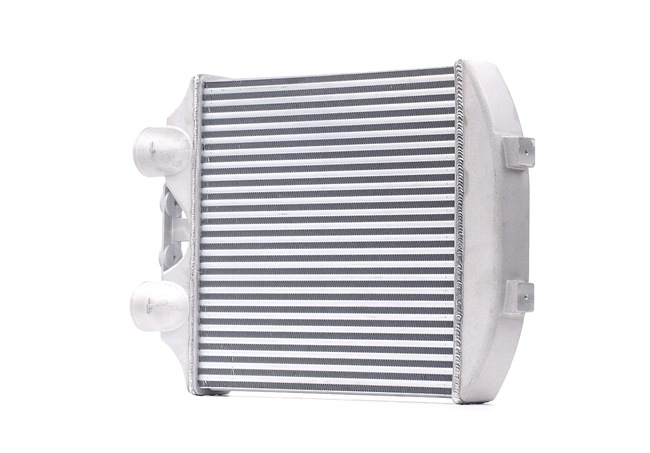 Acquista Intercooler da RIDEX 468I0107 a buon mercato per soli 163,10 €