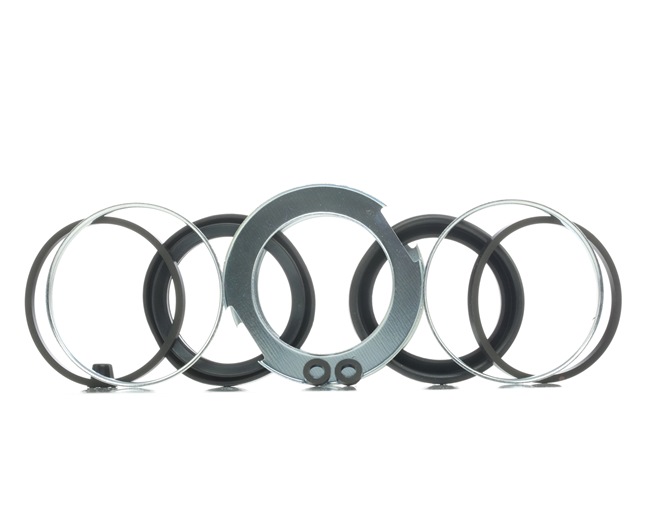 RIDEX Bremssattel-Reparatursatz 405R0107 online kaufen