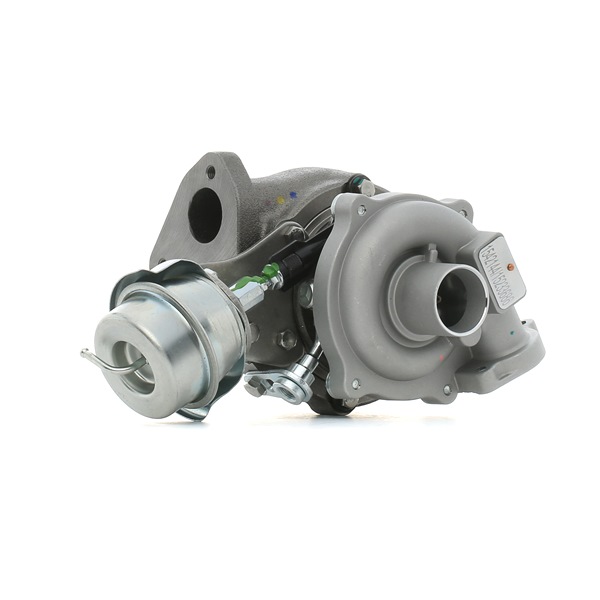 Original RIDEX Turbolader online kaufen