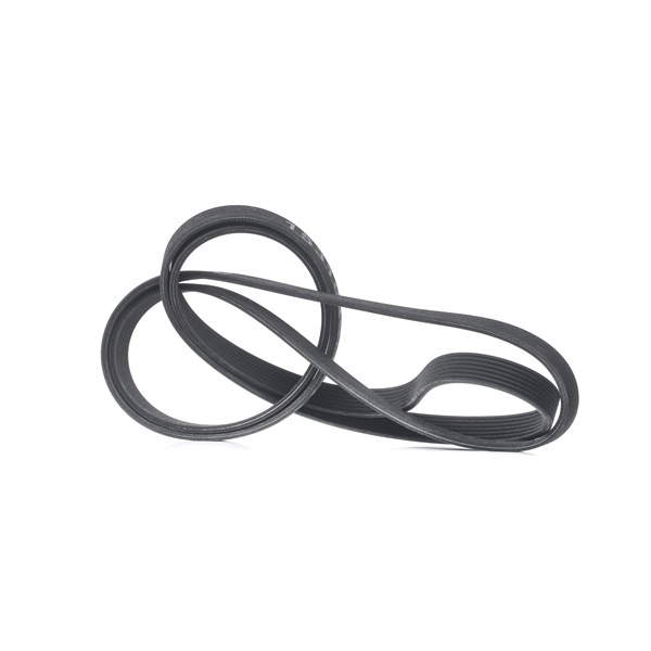 Acquista Cinghia servizi da RIDEX 305P0459 a buon mercato per soli 38,93 €