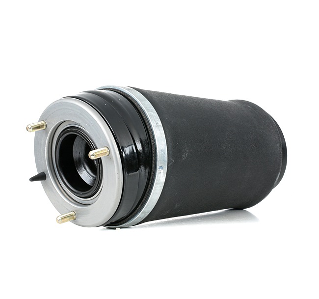 Achetez des Ressort pneumatique RIDEX 4119A0037 à prix pour 238,72 €