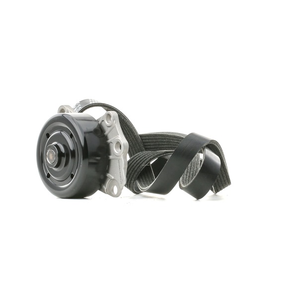 Achetez des Pompe à eau+Jeu de courroie trapézoïdale à nervures STARK SKPRB-5160006 à prix pour 46,74 €