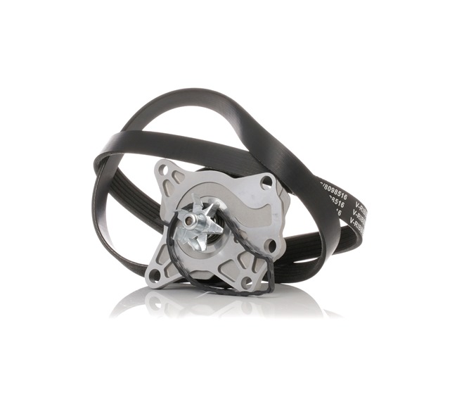 Achetez des Pompe à eau+Jeu de courroie trapézoïdale à nervures RIDEX 4172P0007 à prix pour 46,74 €