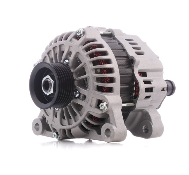 Lichtmaschine 4G1011