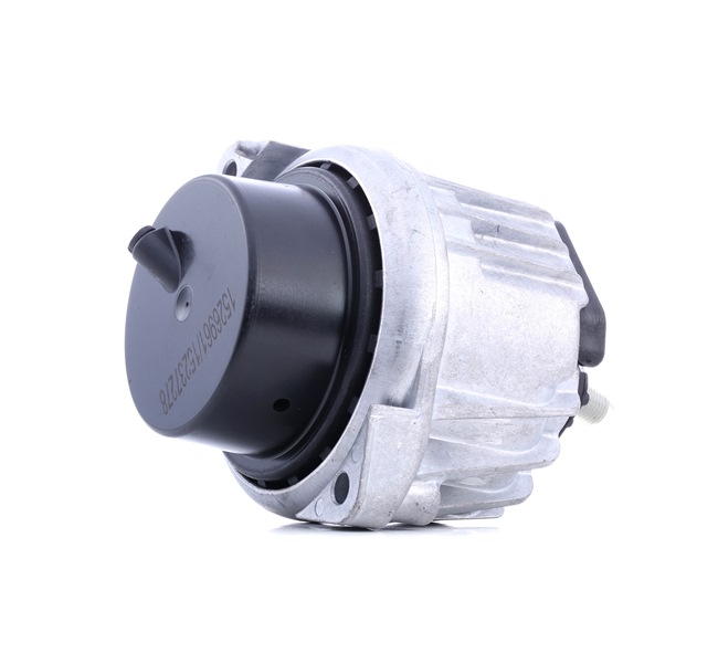Online Shop für Motorlager von RIDEX EAN: 4064138071604