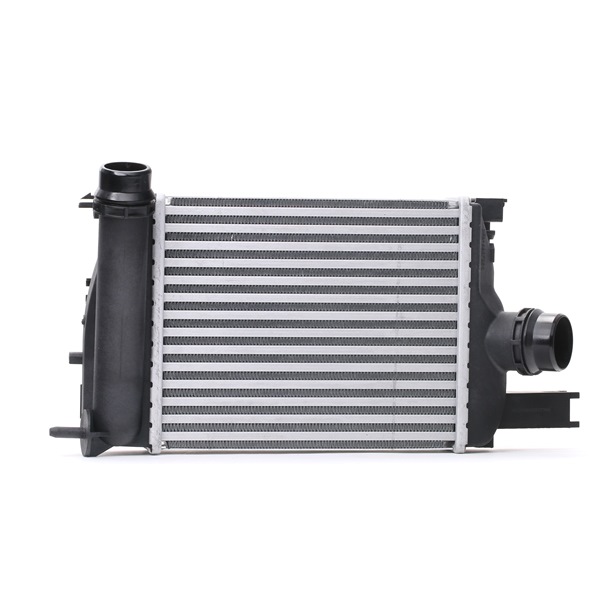 Kjøp Intercooler av RIDEX 468I0117 til den lave prisen 1041,39 NOK