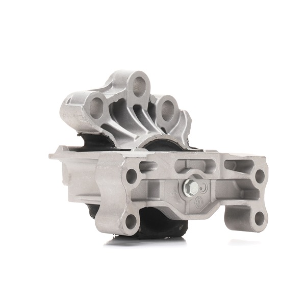 Motorlager 247E0421