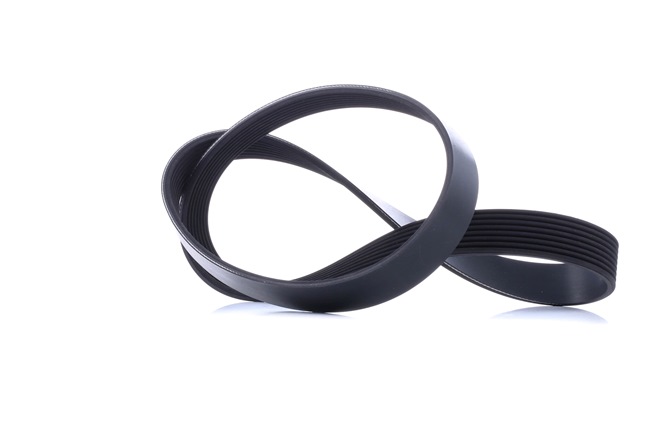 Acquista online DENCKERMANN Cinghia servizi Art.: 8PK1226