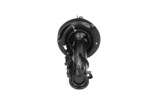 Stoßdämpfer von KAVO PARTS