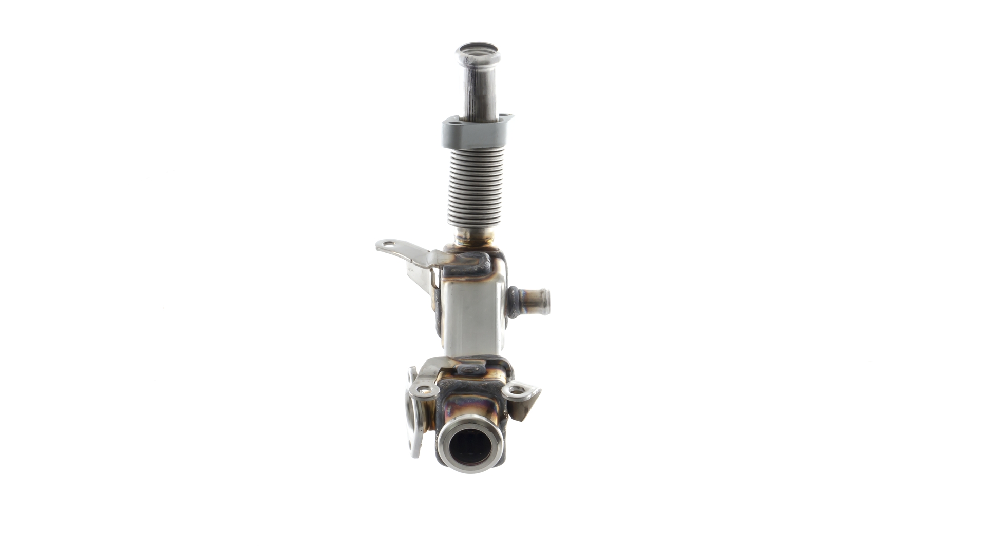 Compre Radiador EGR da MAHLE ORIGINAL CE 21 000P a um preço baixo por 226,29 €