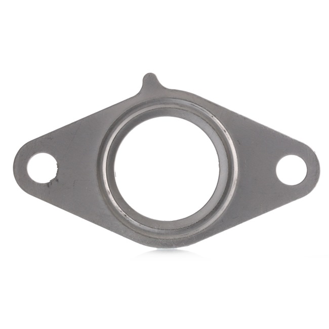 AGR-Ventil-Dichtung EG2100-901 FIAT von FA1