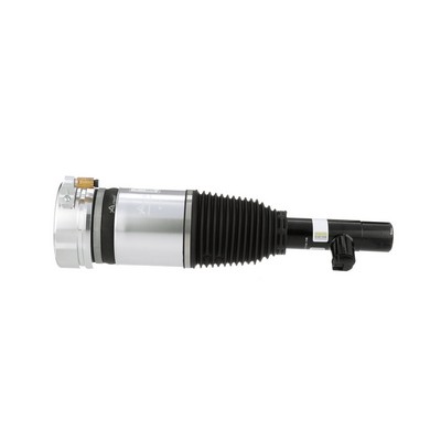 Acquista Ammortizzatore pneumatico da Arnott AS-3344 a buon mercato per soli 1204,47 €