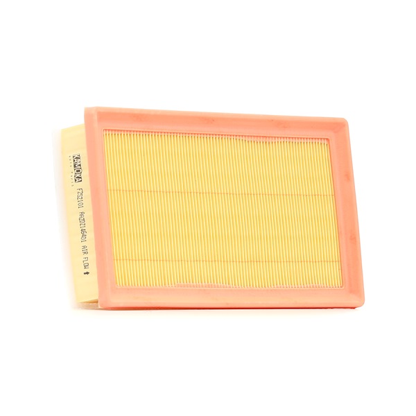Luftfilter F252101