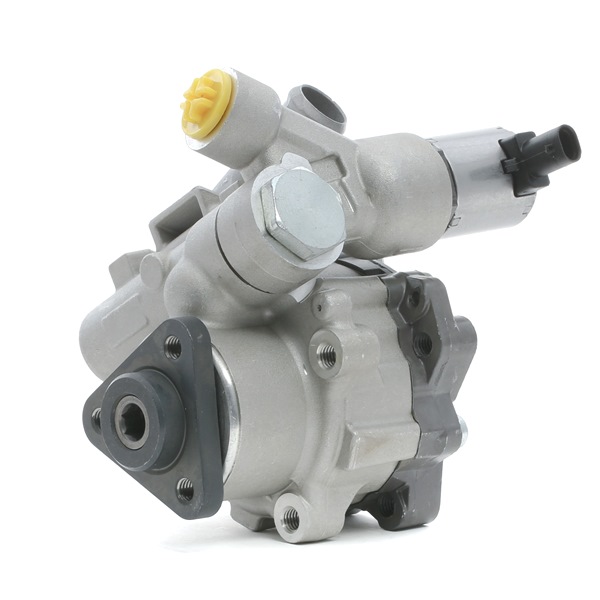 Achetez des Pompe de direction assistée RIDEX 12H0230 à prix pour 305,06 €