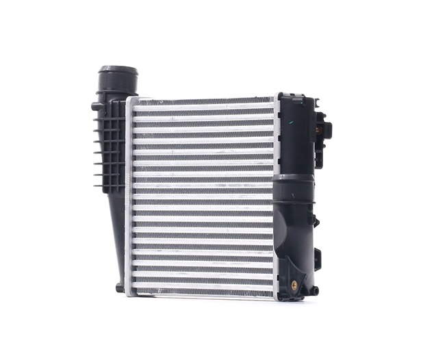 Acquista Intercooler da RIDEX 468I0122 a buon mercato per soli 61,54 €