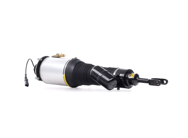 Osta Ilmajousijalka RIDEX:llä 4118A0037 edullisesti hintaan 1194,26 €