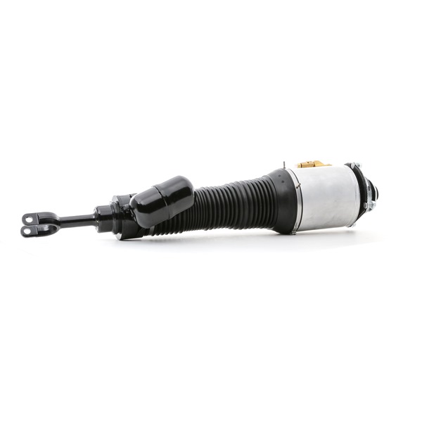 Osta Ilmajousijalka RIDEX:llä 4118A0038 edullisesti hintaan 1463,35 €