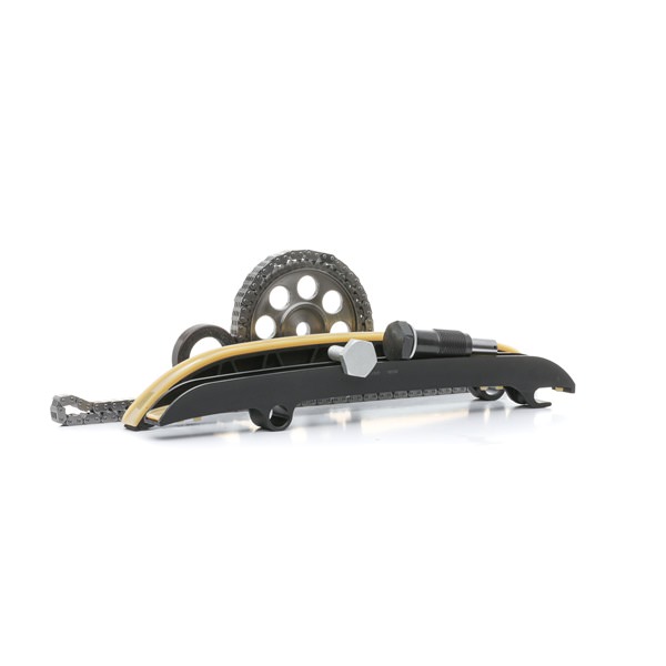 Steuerkettensatz 1389T0171 von RIDEX günstig für 95,88 € online kaufen