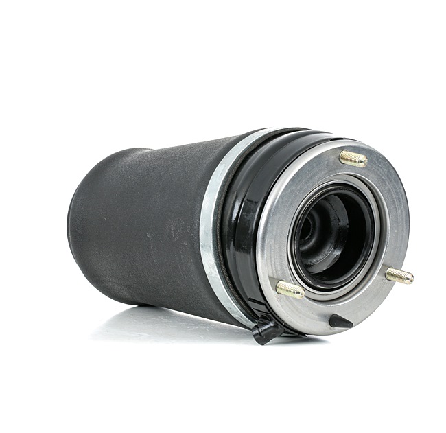 Osta Ilmajousi RIDEX:llä 4119A0040 edullisesti hintaan 320,80 €