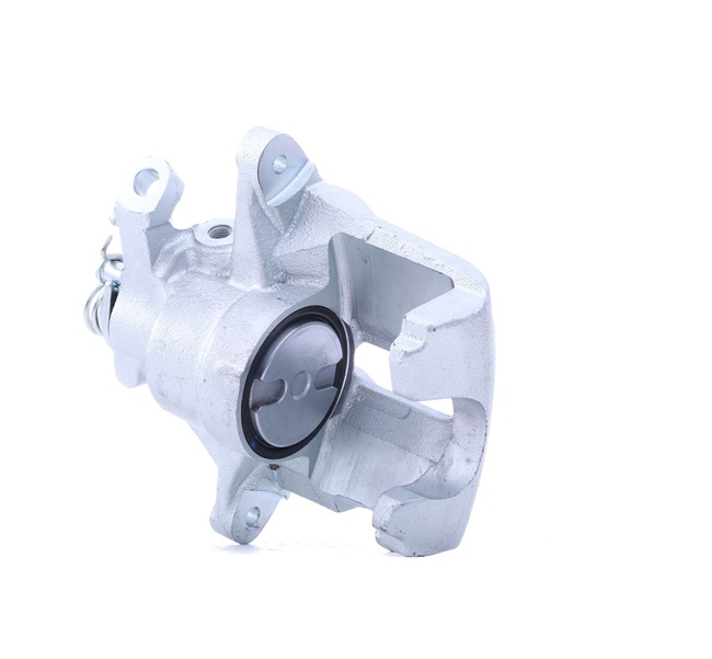 Online Shop für Bremssattel von RIDEX EAN: 4064138100434