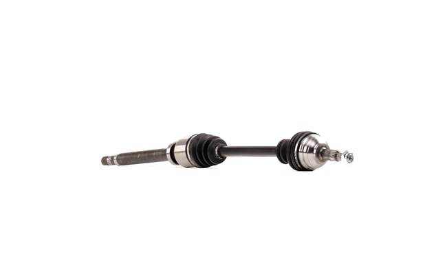 Compre Palier de RIDEX online para KANGOO Express (FW0/1_) a precios moderados