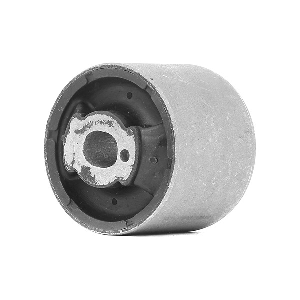 Osta Akselinripustus RIDEX:llä 1080M0066 edullisesti hintaan 19,13 €
