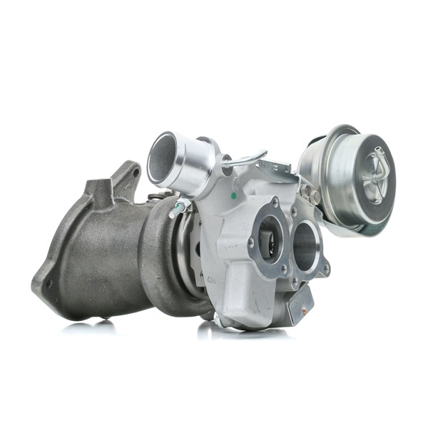 Turbolader von RIDEX für Kuga Mk2 (DM2) günstig online kaufen