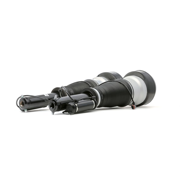 Luftfederbein 4118A0047 von RIDEX günstig für 1081,90 € online kaufen