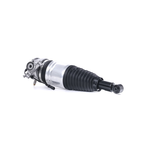 Osta Ilmajousijalka RIDEX:llä 4118A0049 edullisesti hintaan 593,43 €