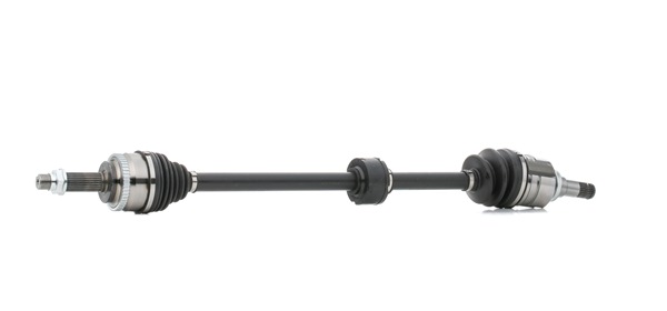 Antriebswelle 13D0670