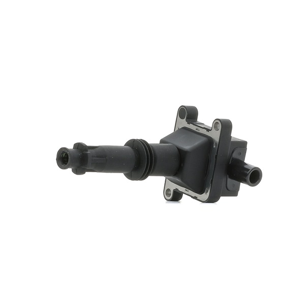 Zündspule 689C0380