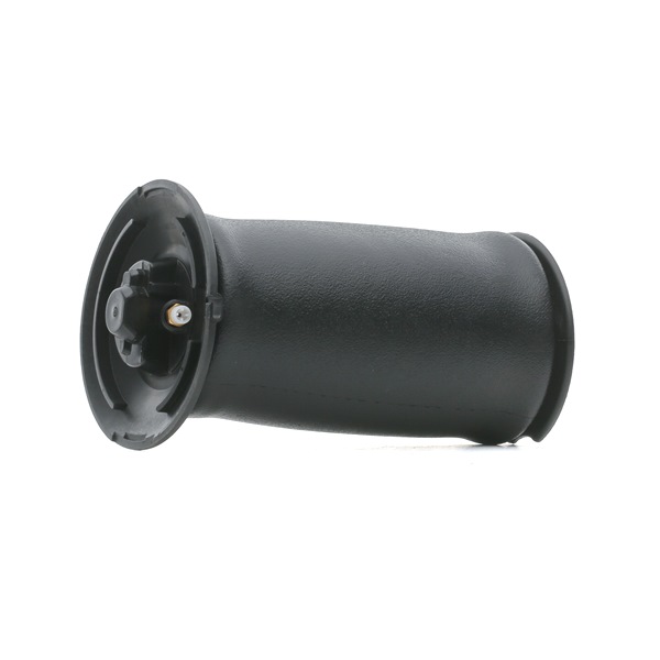 Osta Ilmajousi RIDEX:llä 4119A0044 edullisesti hintaan 147,81 €