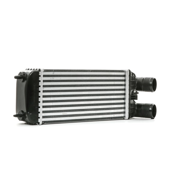Acquista Intercooler da STARK SKICC-0890250 a buon mercato per soli 91,66 €