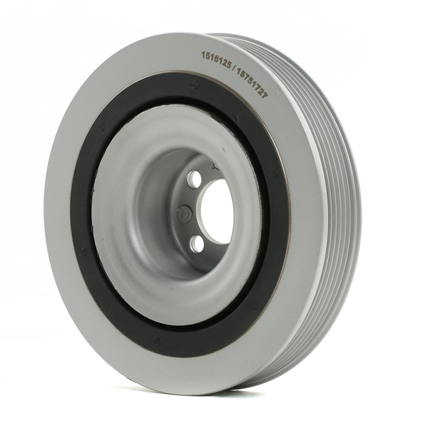 Achetez des Poulie damper (vilebrequin) RIDEX 3213B0174 à prix pour 57,19 €